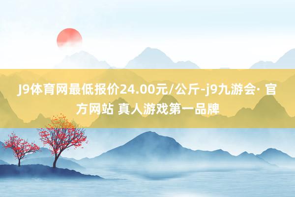 J9体育网最低报价24.00元/公斤-j9九游会· 官方网站 真人游戏第一品牌